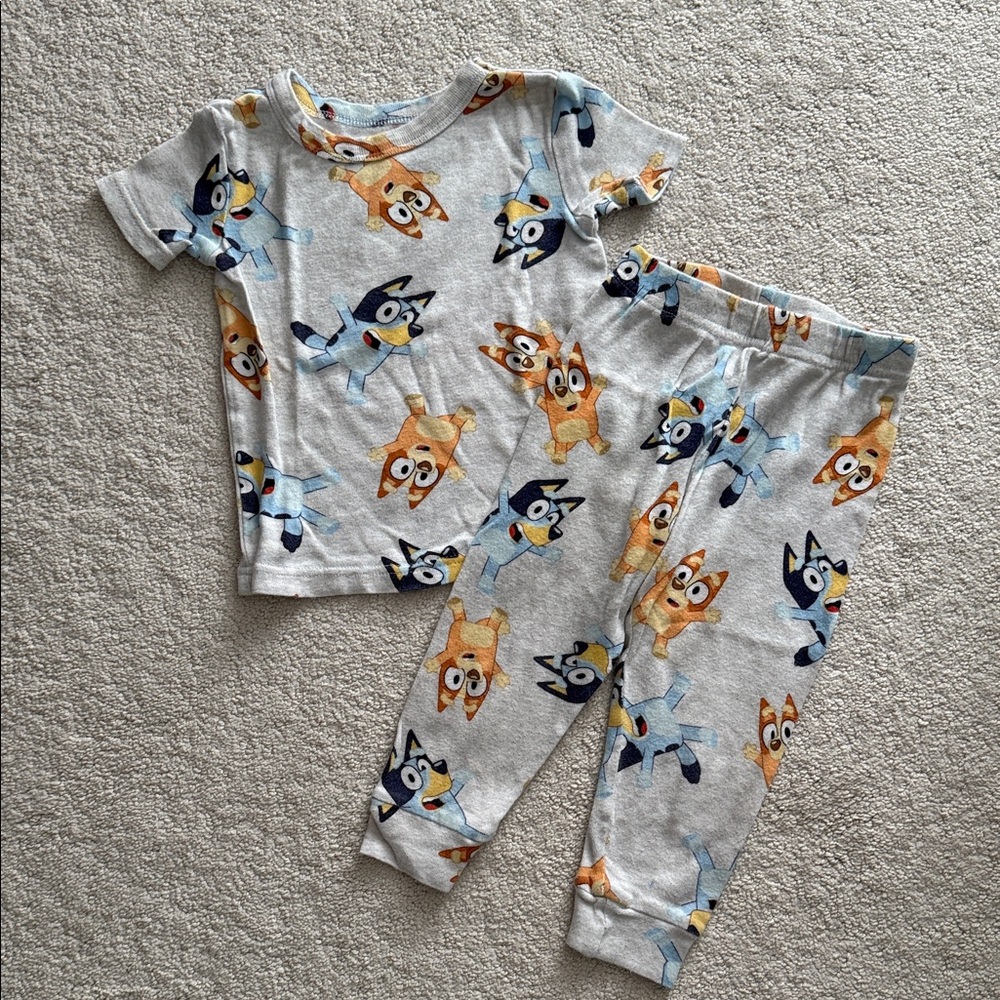 Kids Bluey Cartoon Character Pajamas - Gray 2T
